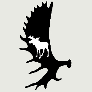 Panache noir/orignal blanc - Black rack/white moose