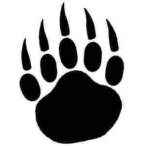 Patte d'ours noire - Black bear paw